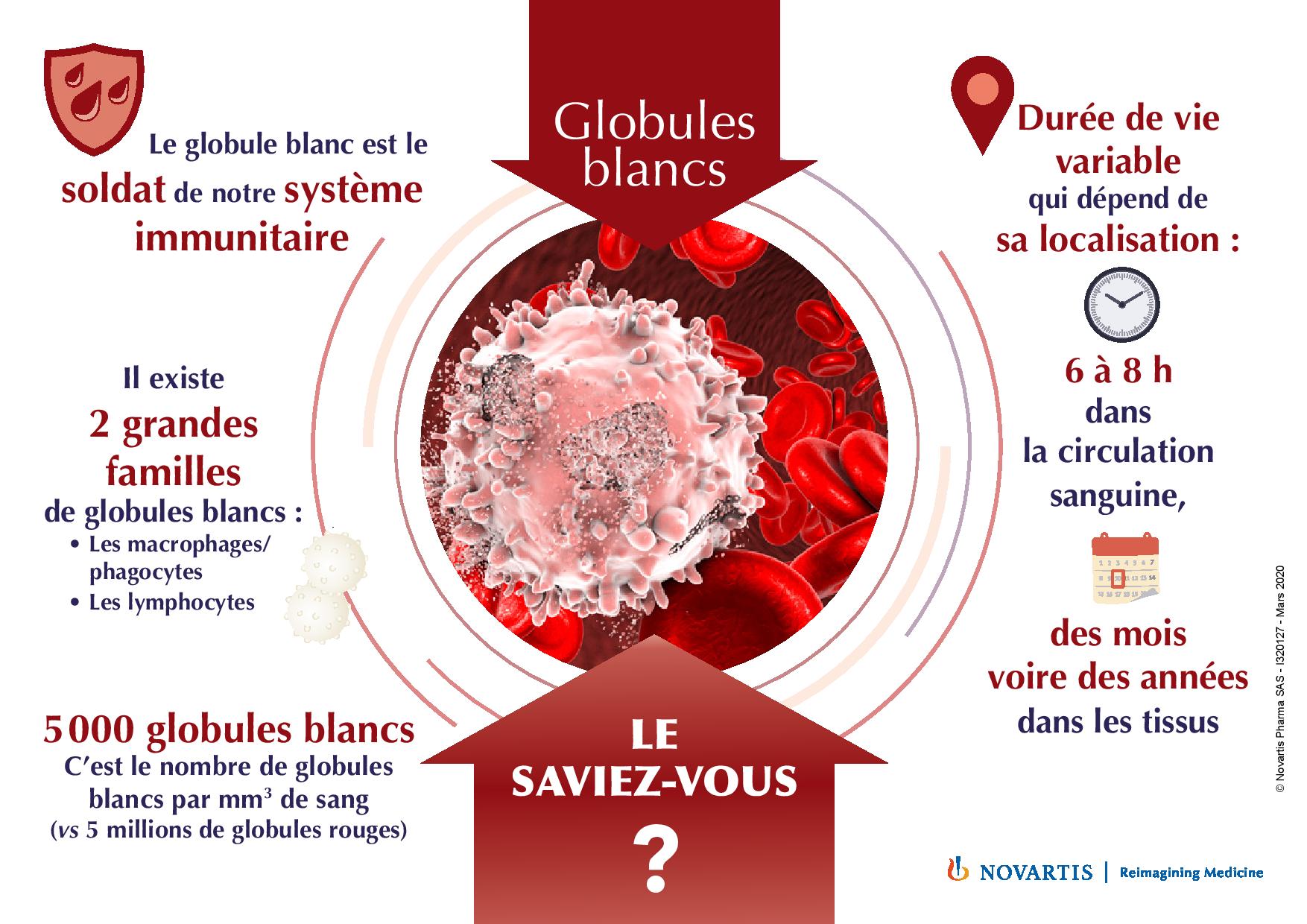 globules blancs