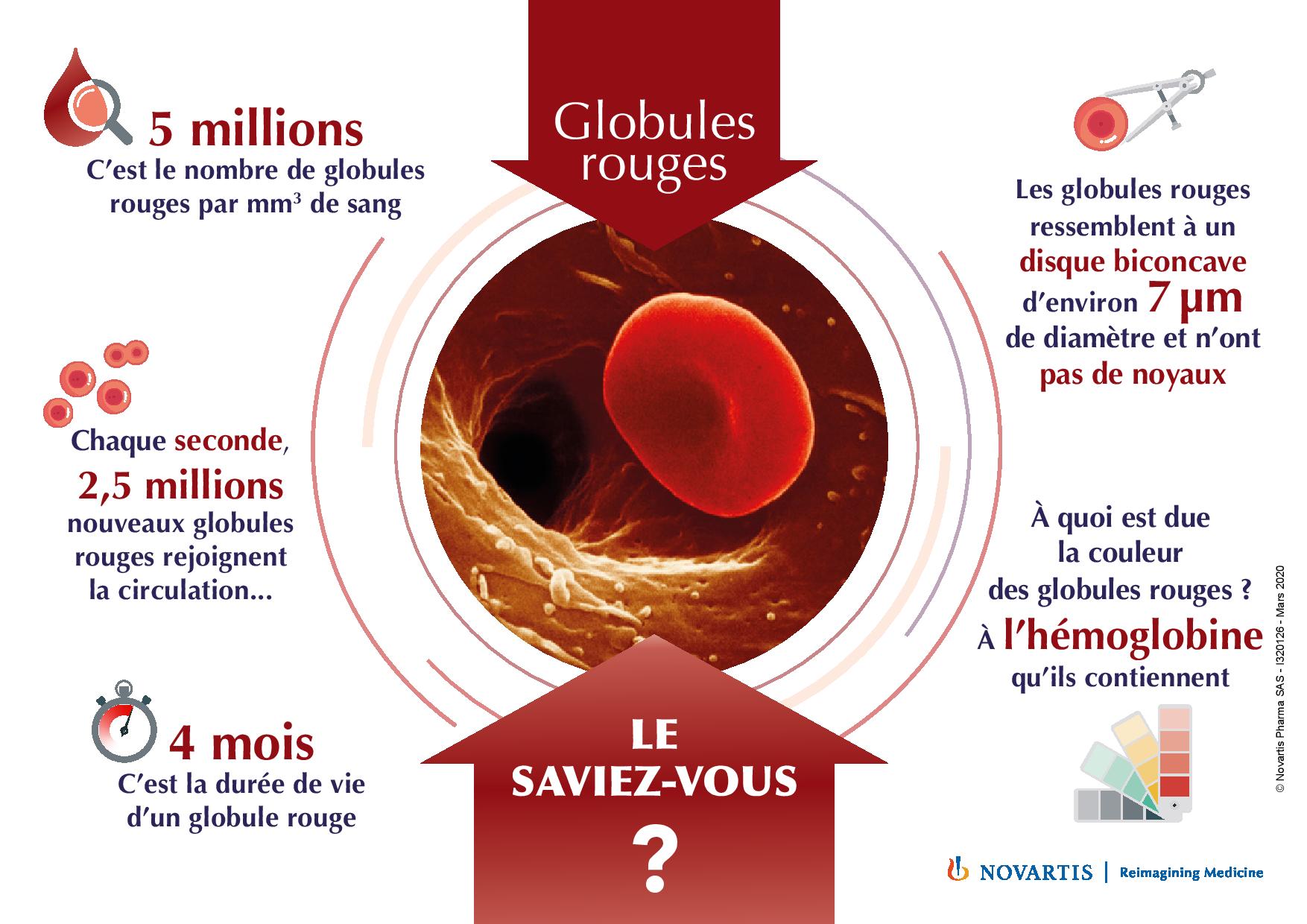 globules rouges